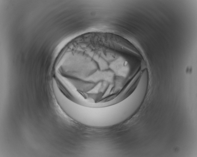 X0000113141344200910021431