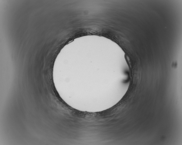 X0000113141345200910021430