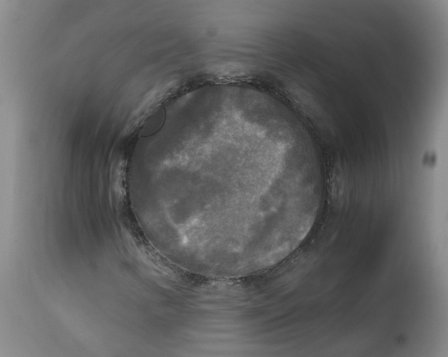 X0000113141346200910021430