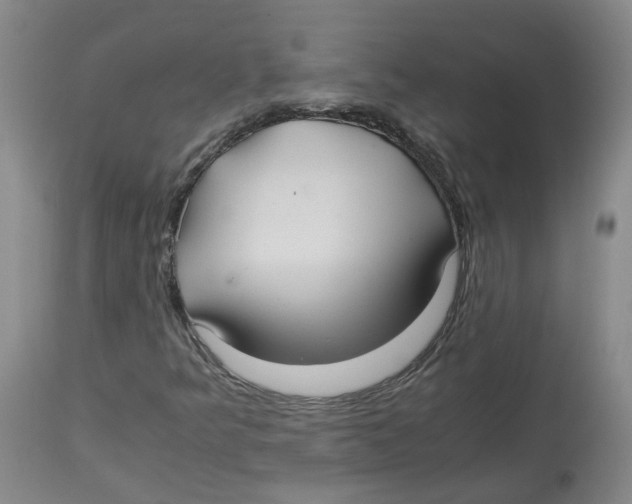 X0000113141349200910021430
