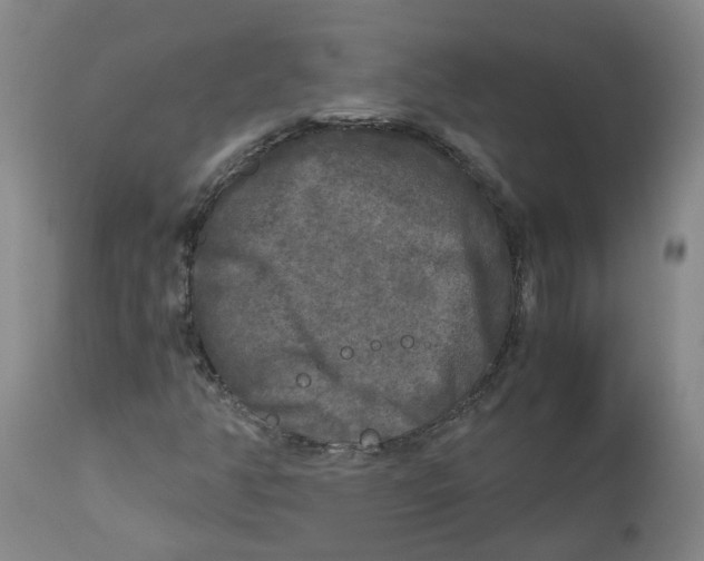 X0000113141350200910021430