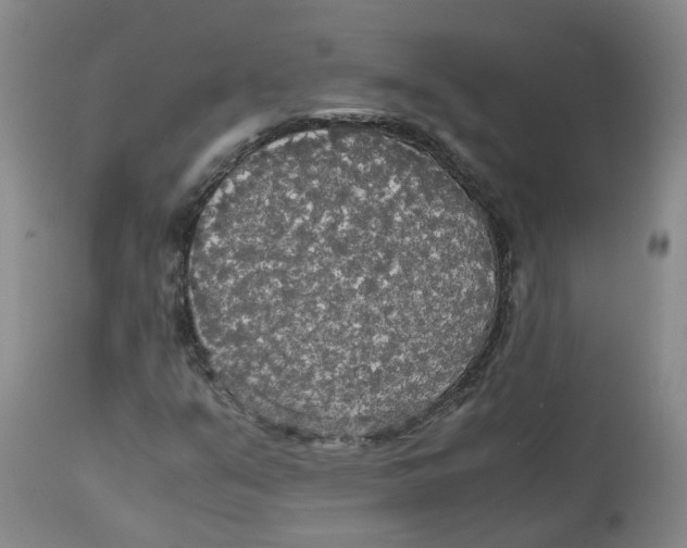 X0000113141351200910021430