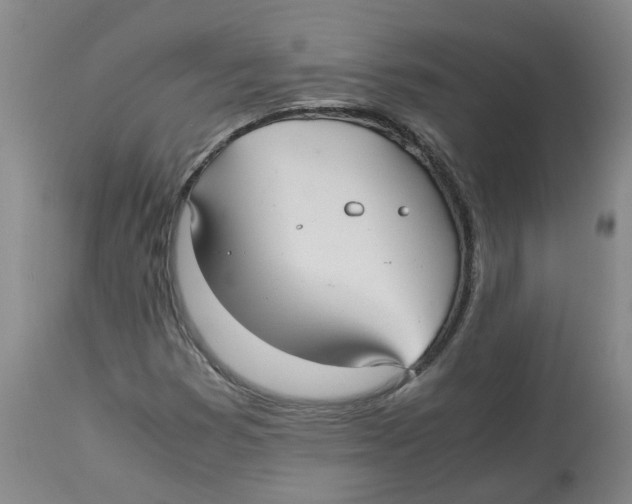 X0000113141353200910021430