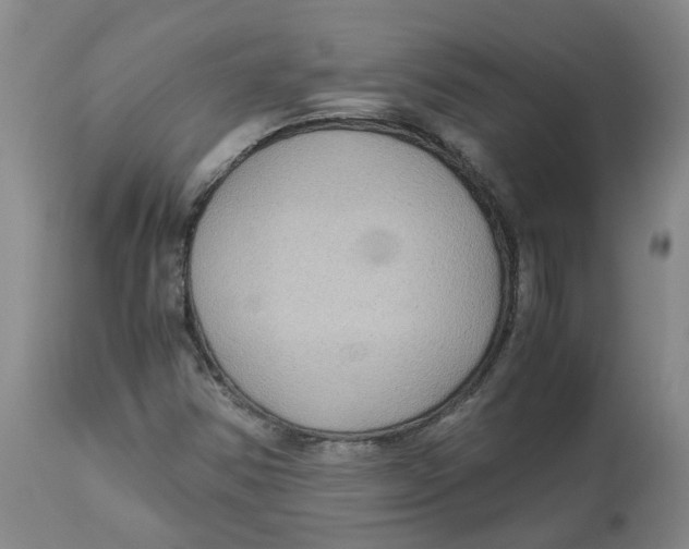 X0000113141354200910021430