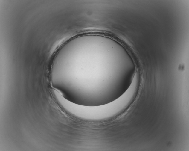 X0000113141357200910021430
