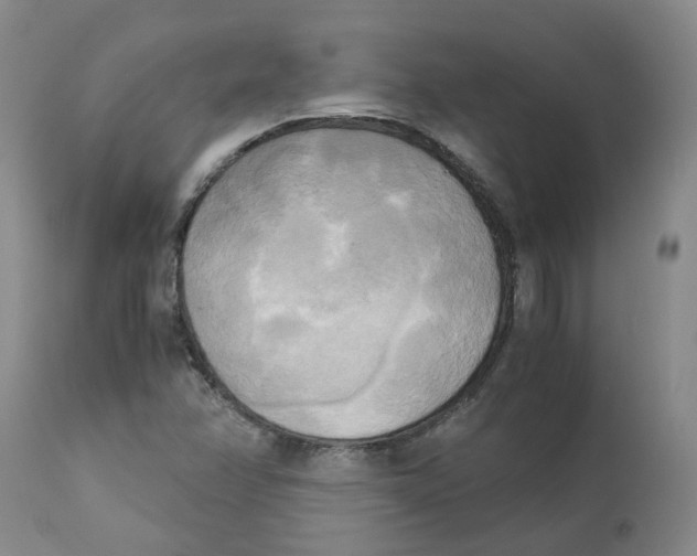 X0000113141358200910021430