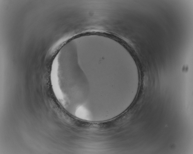 X0000113141359200910021430