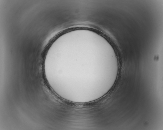 X0000113141360200910021430