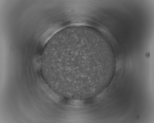 X0000113141361200910021430