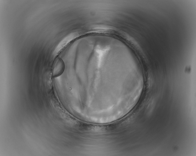 X0000113141362200910021430