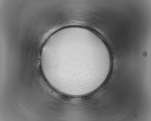 X0000113141363200910021430