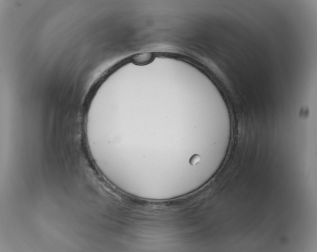 X0000113141364200910021430