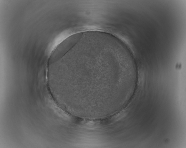 X0000113141365200910021430