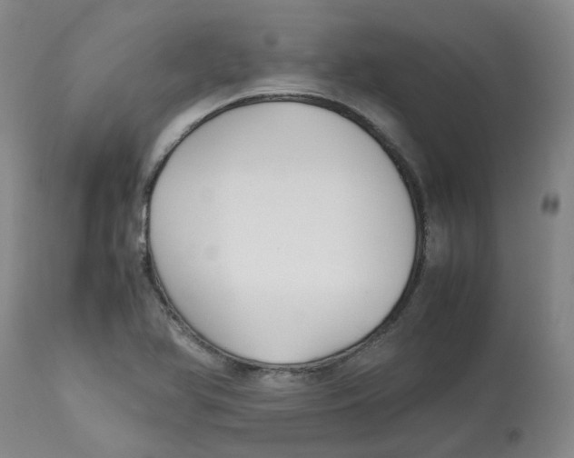 X0000113141366200910021430