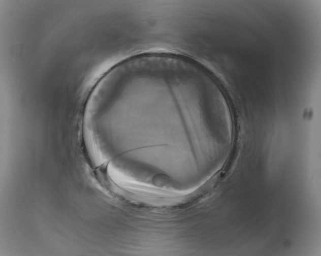 X0000113141367200910021430