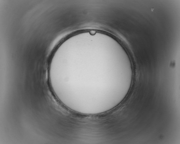 X0000113141368200910021430