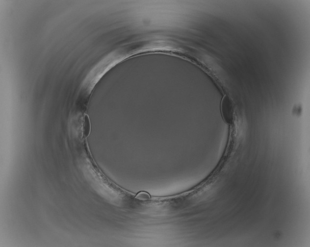 X0000113141369200910021430