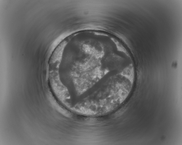 X0000113141371200910021430