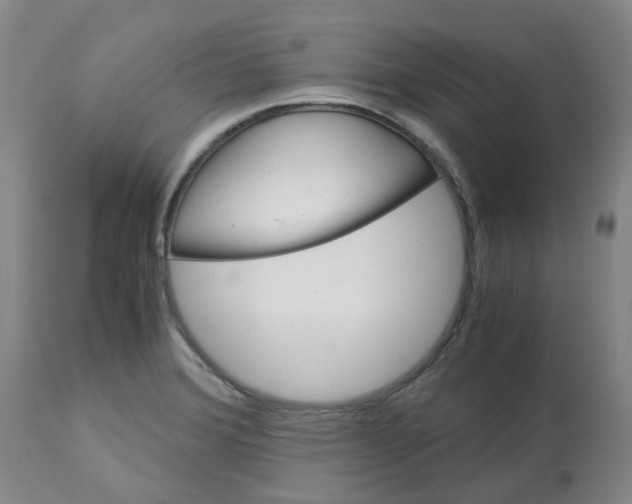 X0000113141372200910021430