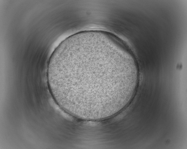 X0000113141374200910021430