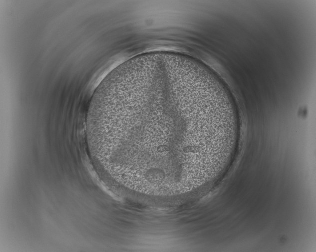 X0000113141377200910021430