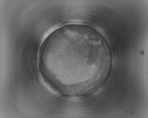 X0000113141378200910021430