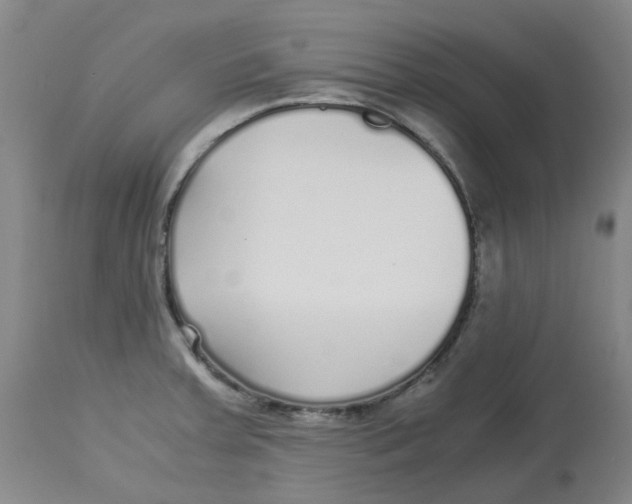 X0000113141379200910021430