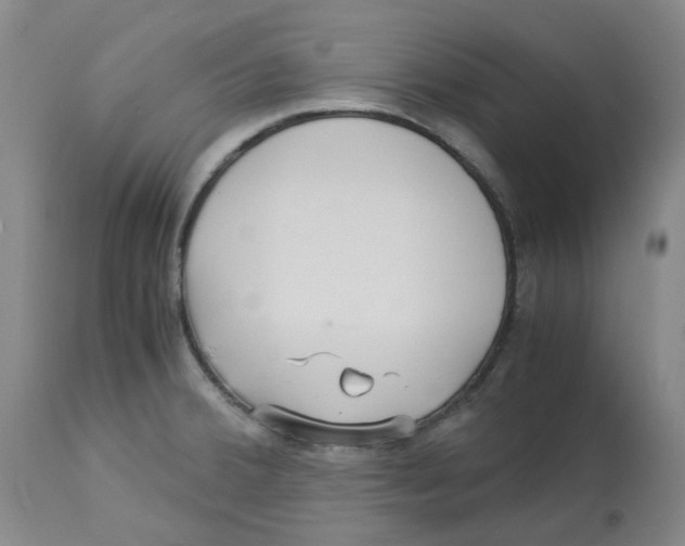 X0000113141380200910021430