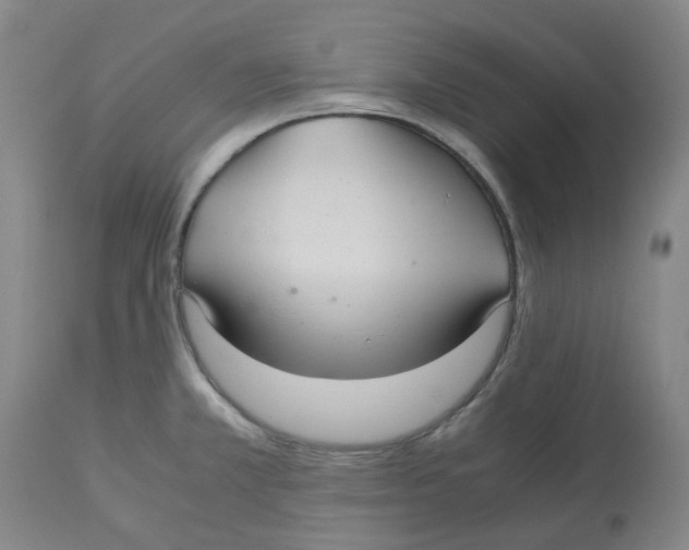 X0000113141381200910021430