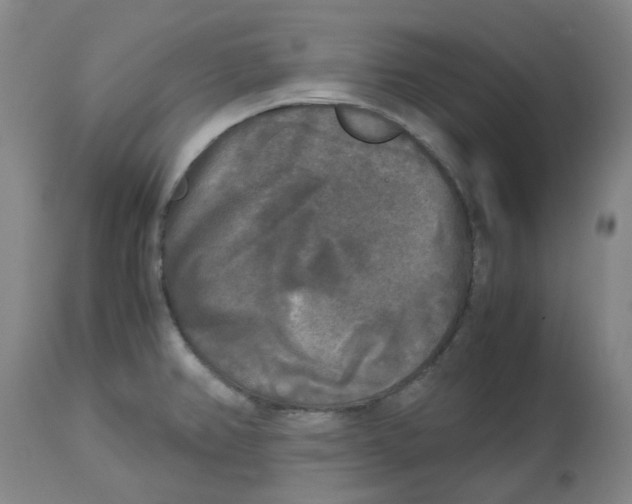 X0000113141382200910021430