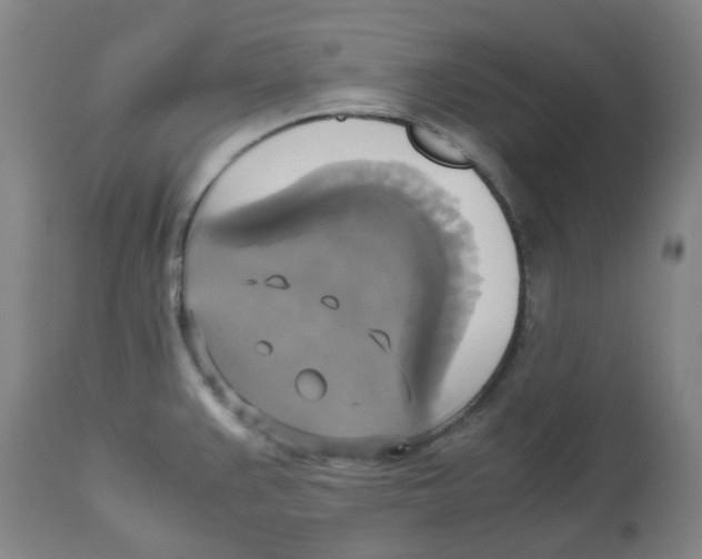 X0000113141383200910021429