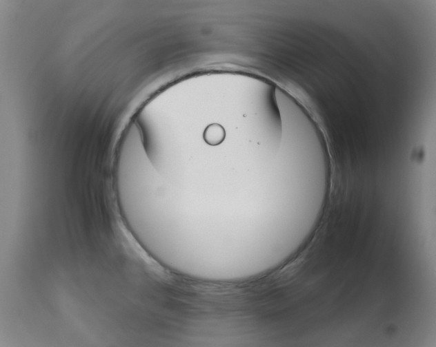 X0000113141384200910021429