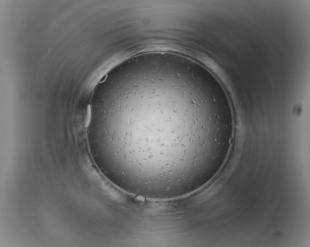 X0000113141385200910021429