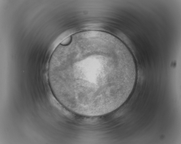 X0000113141386200910021429