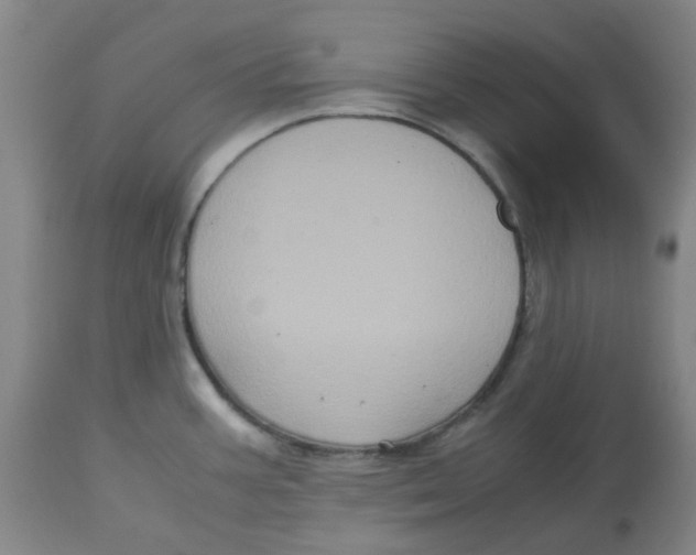 X0000113141387200910021429