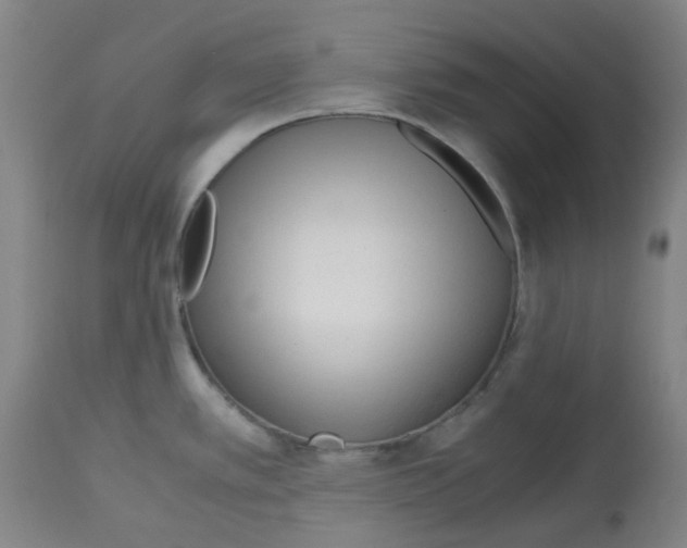 X0000113141389200910021429