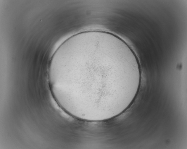 X0000113141390200910021429