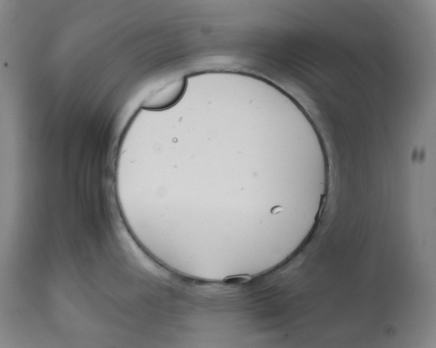 X0000113141392200910021429