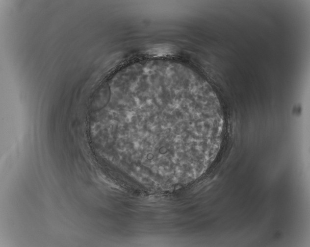 X0000113141393200910021429