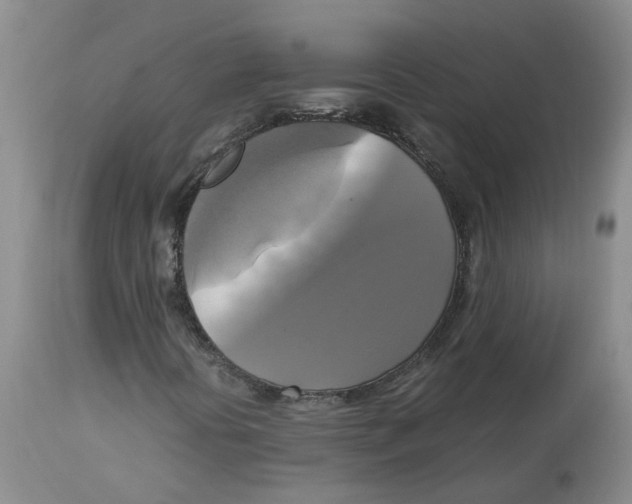 X0000113141394200910021429