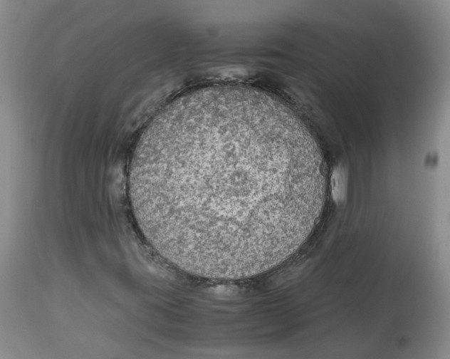 X0000113141395200910021429