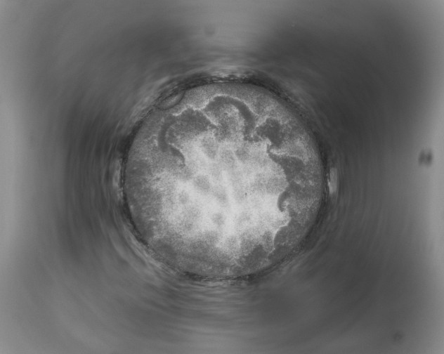 X0000113141396200910021429