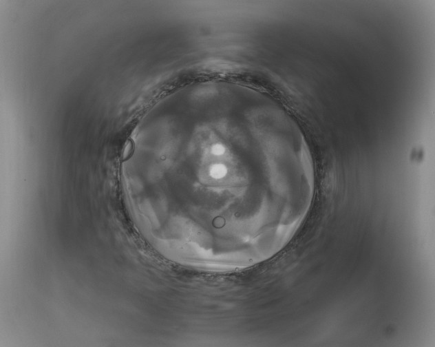 X0000113141397200910021429