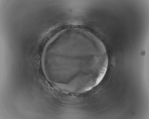 X0000113141398200910021429