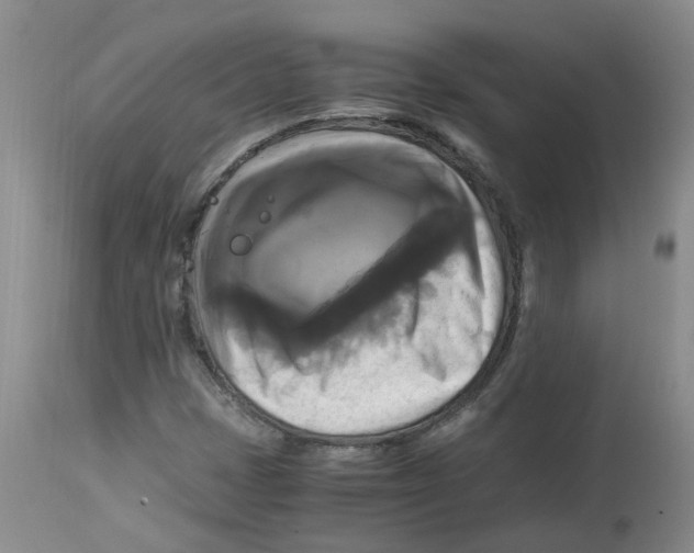 X0000113141401200910021429