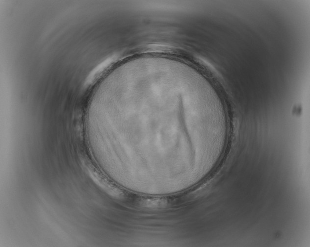 X0000113141403200910021429