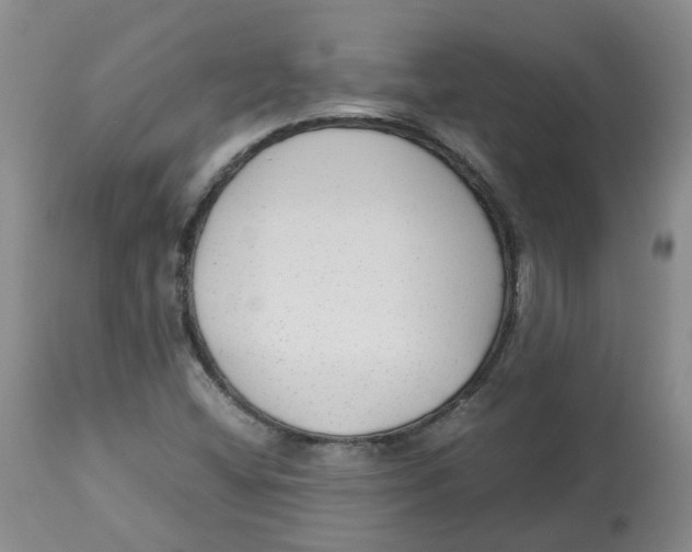 X0000113141404200910021429