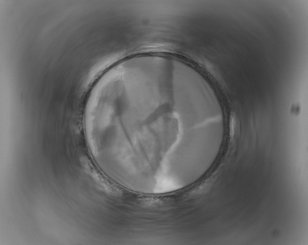 X0000113141405200910021429