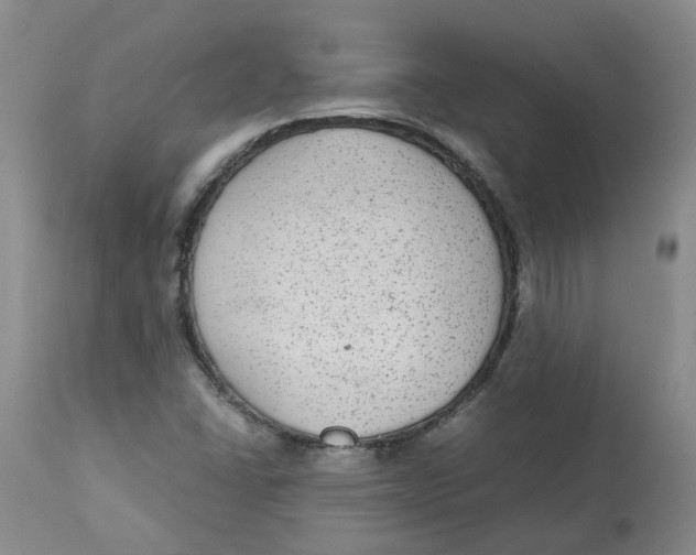 X0000113141406200910021429