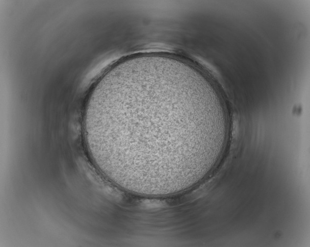 X0000113141407200910021429